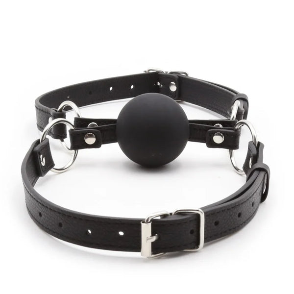 Dual Intimacy Ball Gag – Double Mouth Gag for Couples