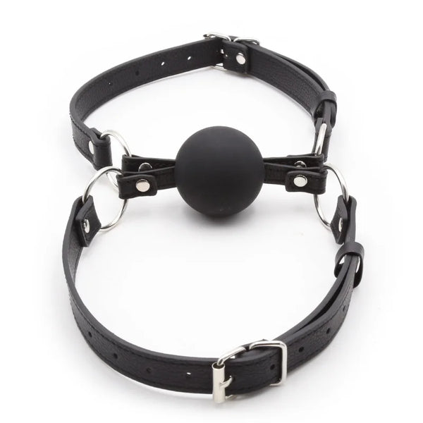 Dual Intimacy Ball Gag – Double Mouth Gag for Couples